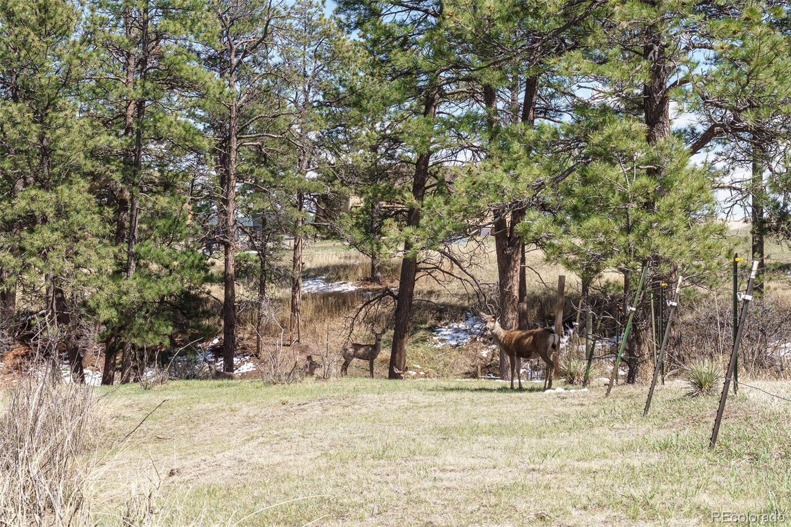 MLS Image #45 for 1851  buttercup road,elizabeth, Colorado