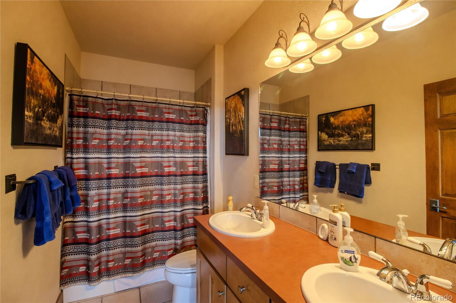 MLS Image #7 for 1205  blue sky trl ,granby, Colorado