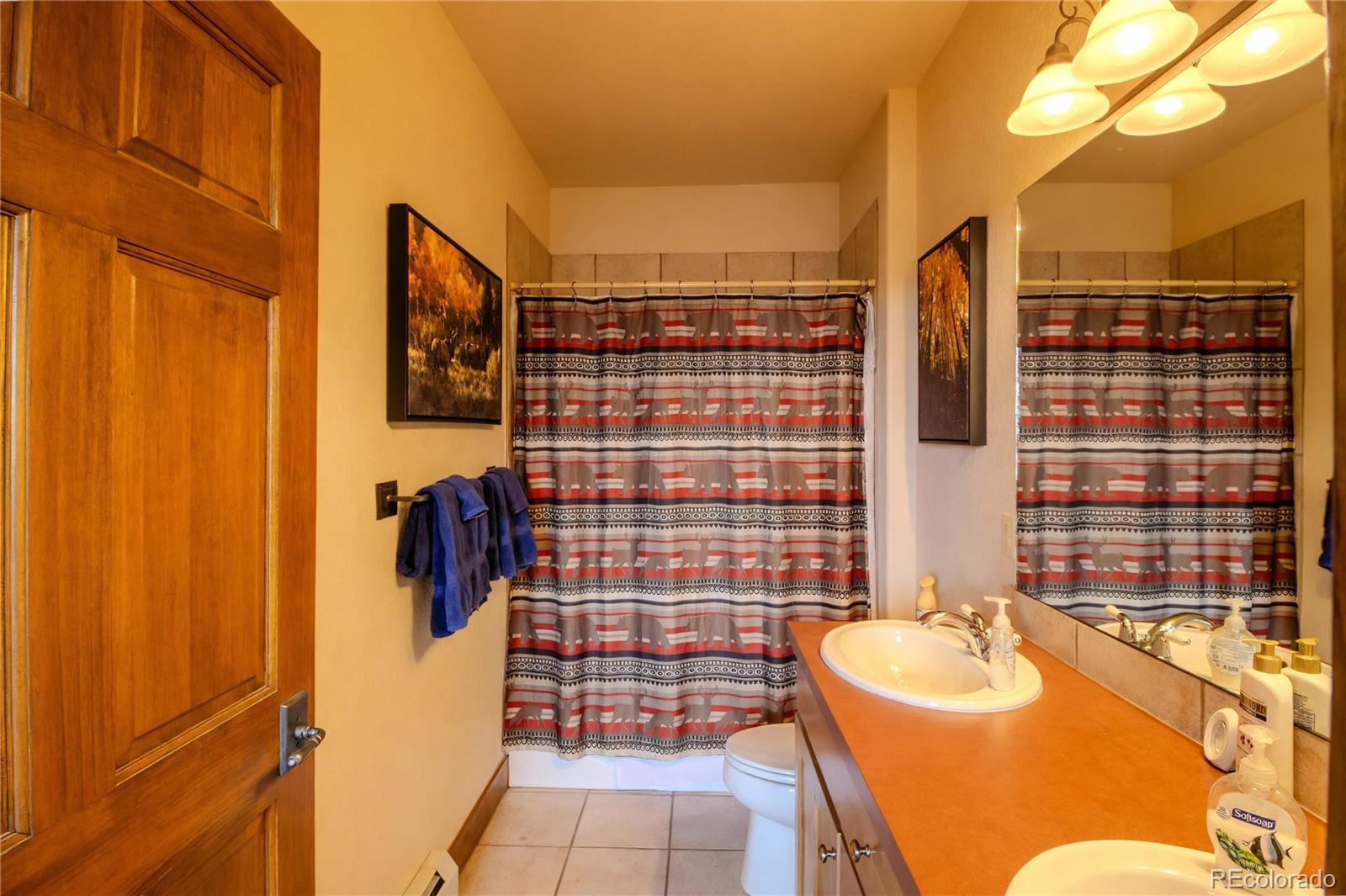 MLS Image #8 for 1205  blue sky trl ,granby, Colorado