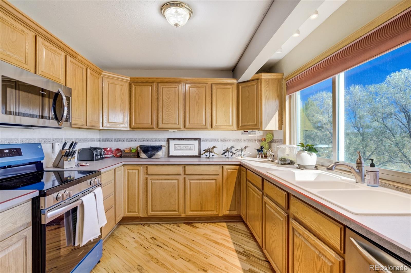MLS Image #14 for 46746  sundance trail,parker, Colorado