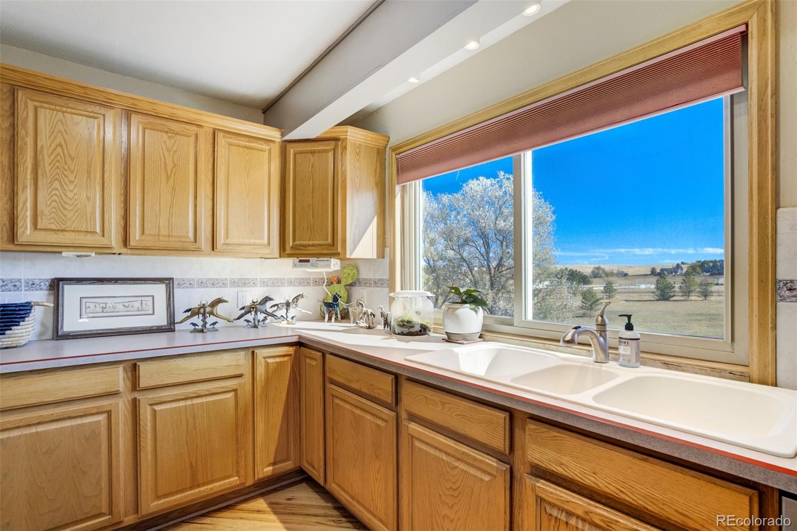 MLS Image #15 for 46746  sundance trail,parker, Colorado