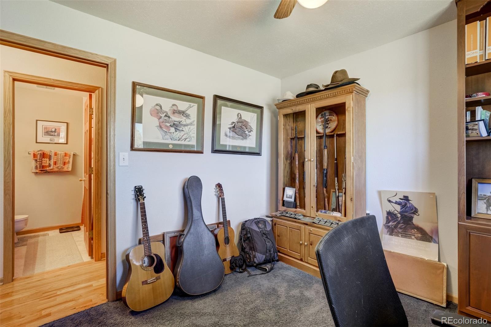MLS Image #28 for 46746  sundance trail,parker, Colorado