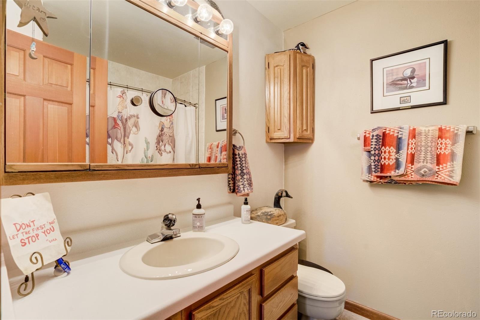 MLS Image #29 for 46746  sundance trail,parker, Colorado