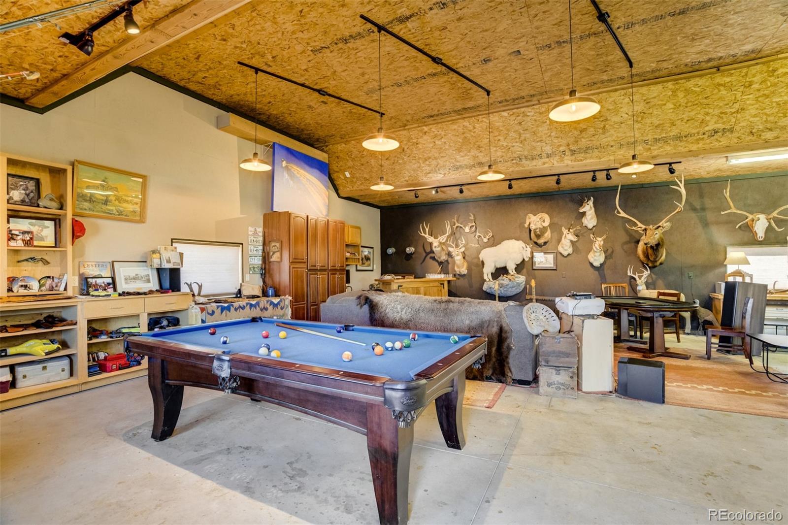 MLS Image #47 for 46746  sundance trail,parker, Colorado