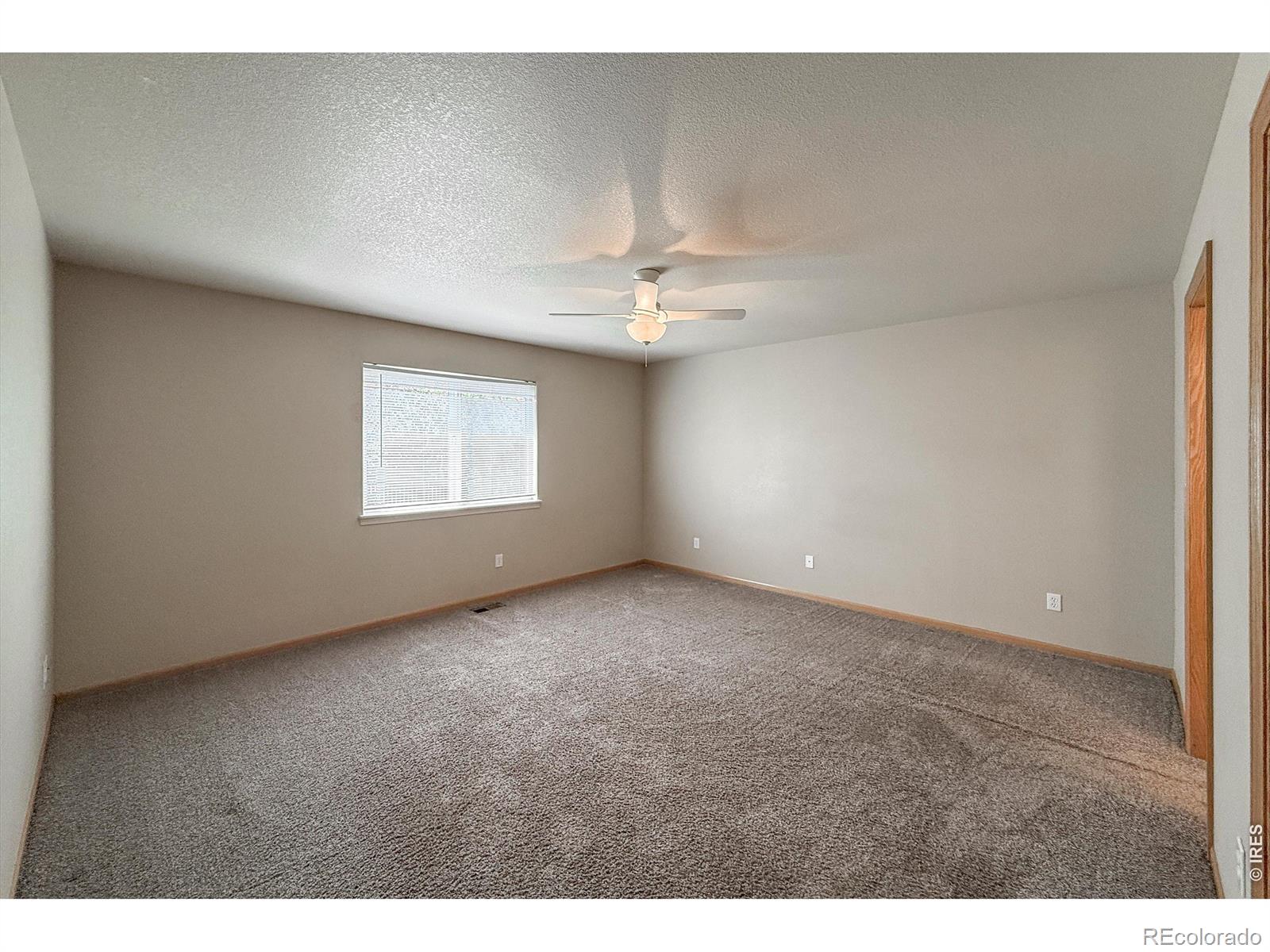 MLS Image #21 for 4479  cole drive,loveland, Colorado