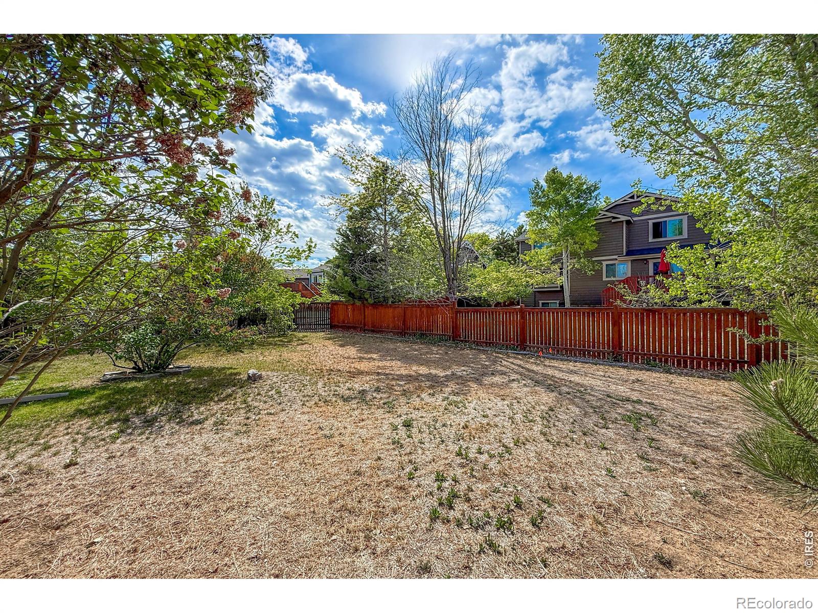 MLS Image #36 for 4479  cole drive,loveland, Colorado