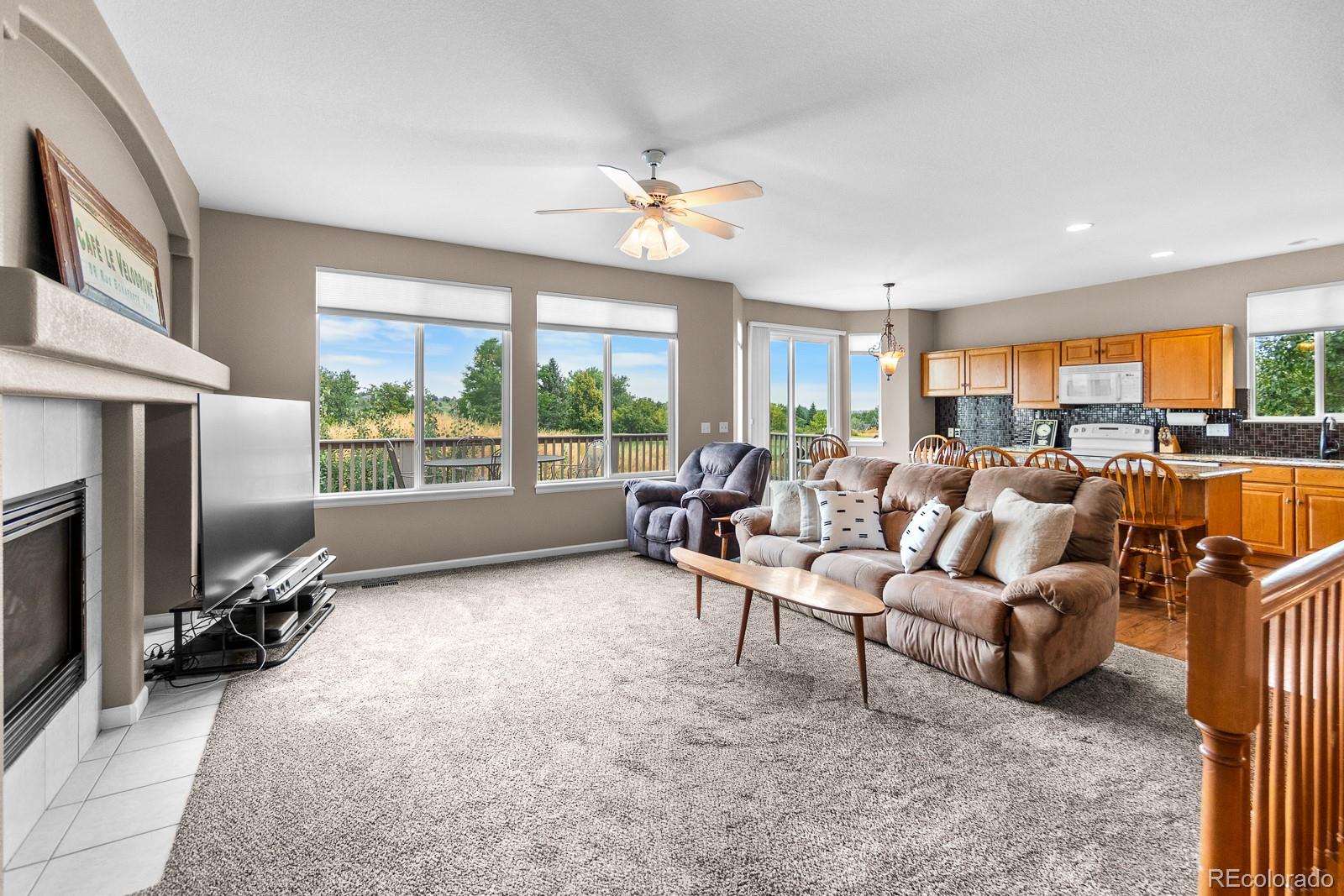 MLS Image #10 for 6576  torrey court,arvada, Colorado