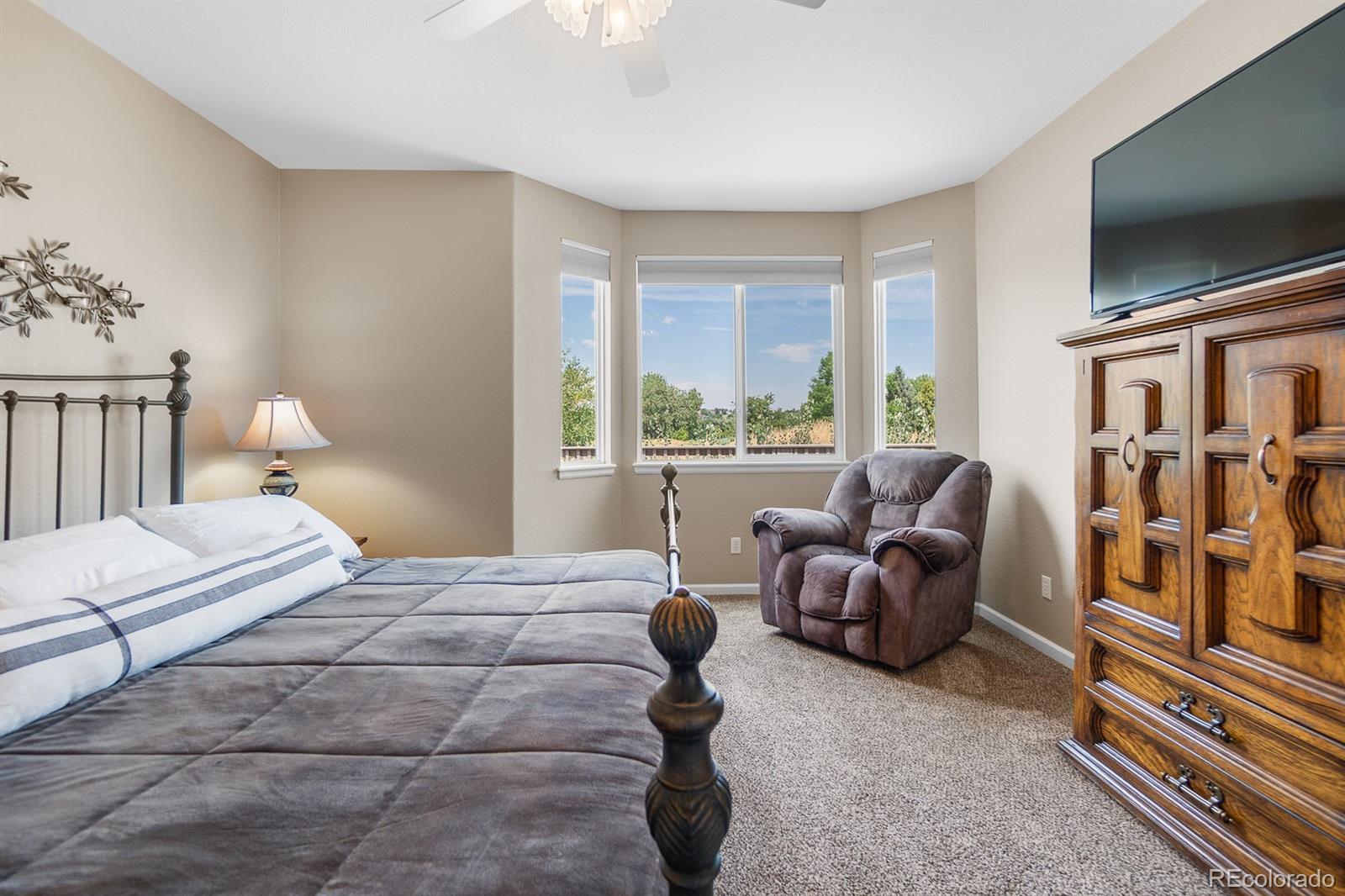 MLS Image #15 for 6576  torrey court,arvada, Colorado