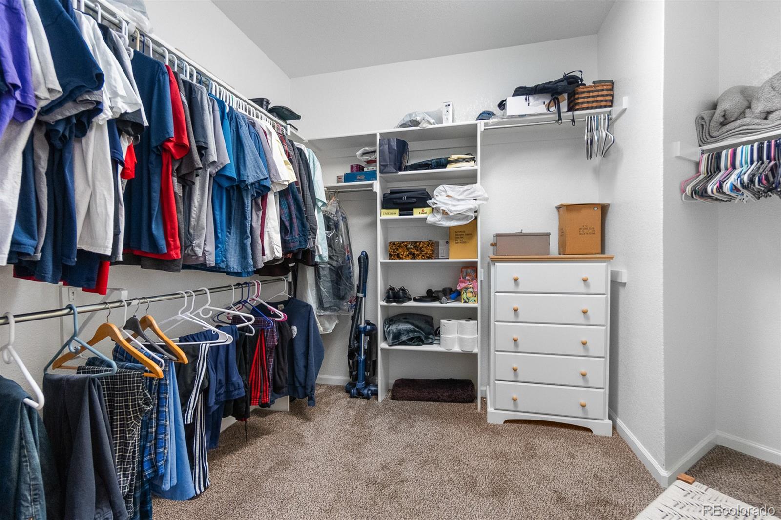 MLS Image #21 for 6576  torrey court,arvada, Colorado