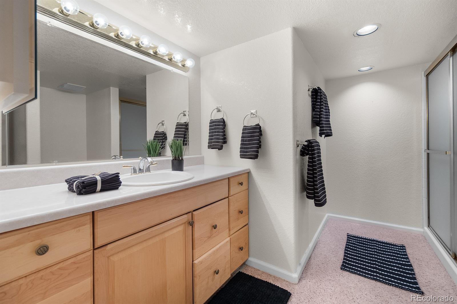 MLS Image #27 for 6576  torrey court,arvada, Colorado