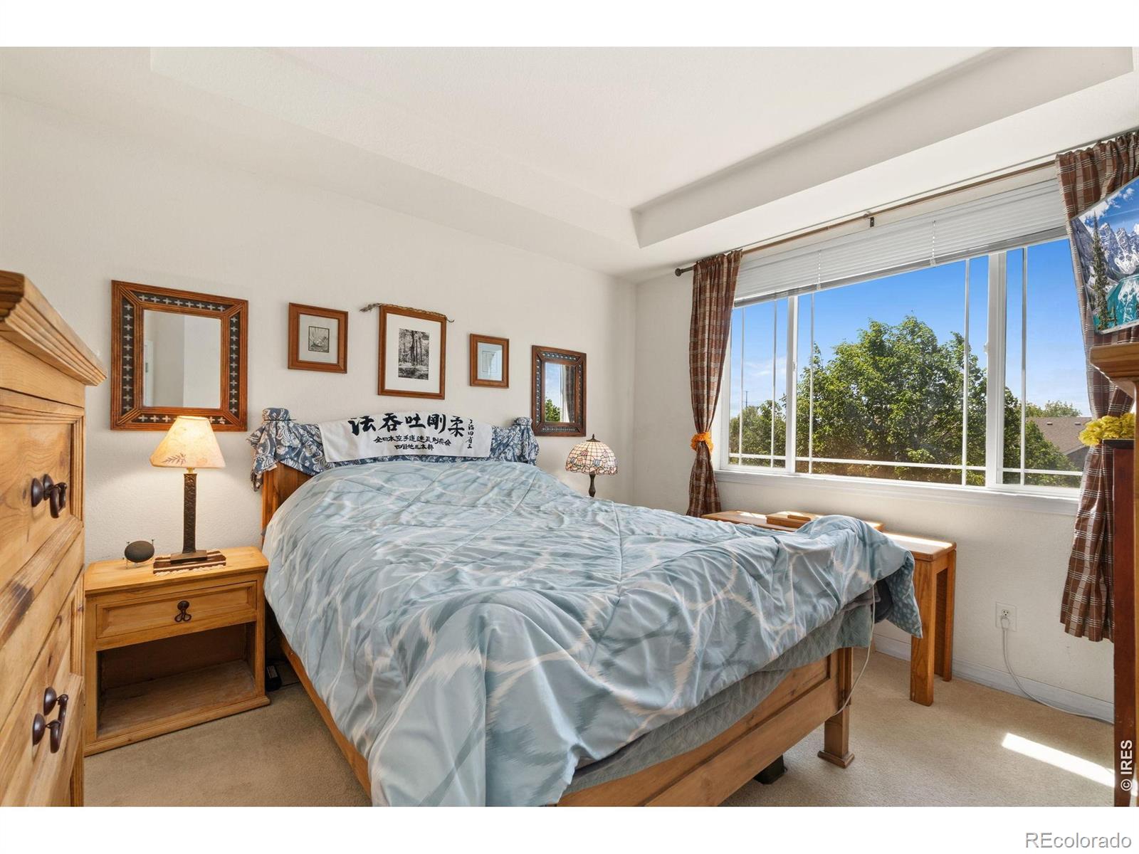 MLS Image #10 for 804  summer hawk drive,longmont, Colorado
