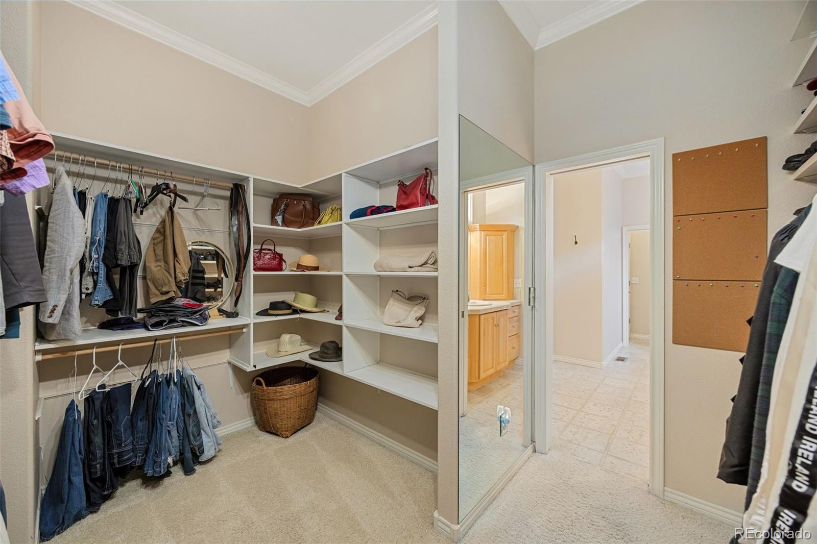 MLS Image #19 for 5834  watson drive,fort collins, Colorado