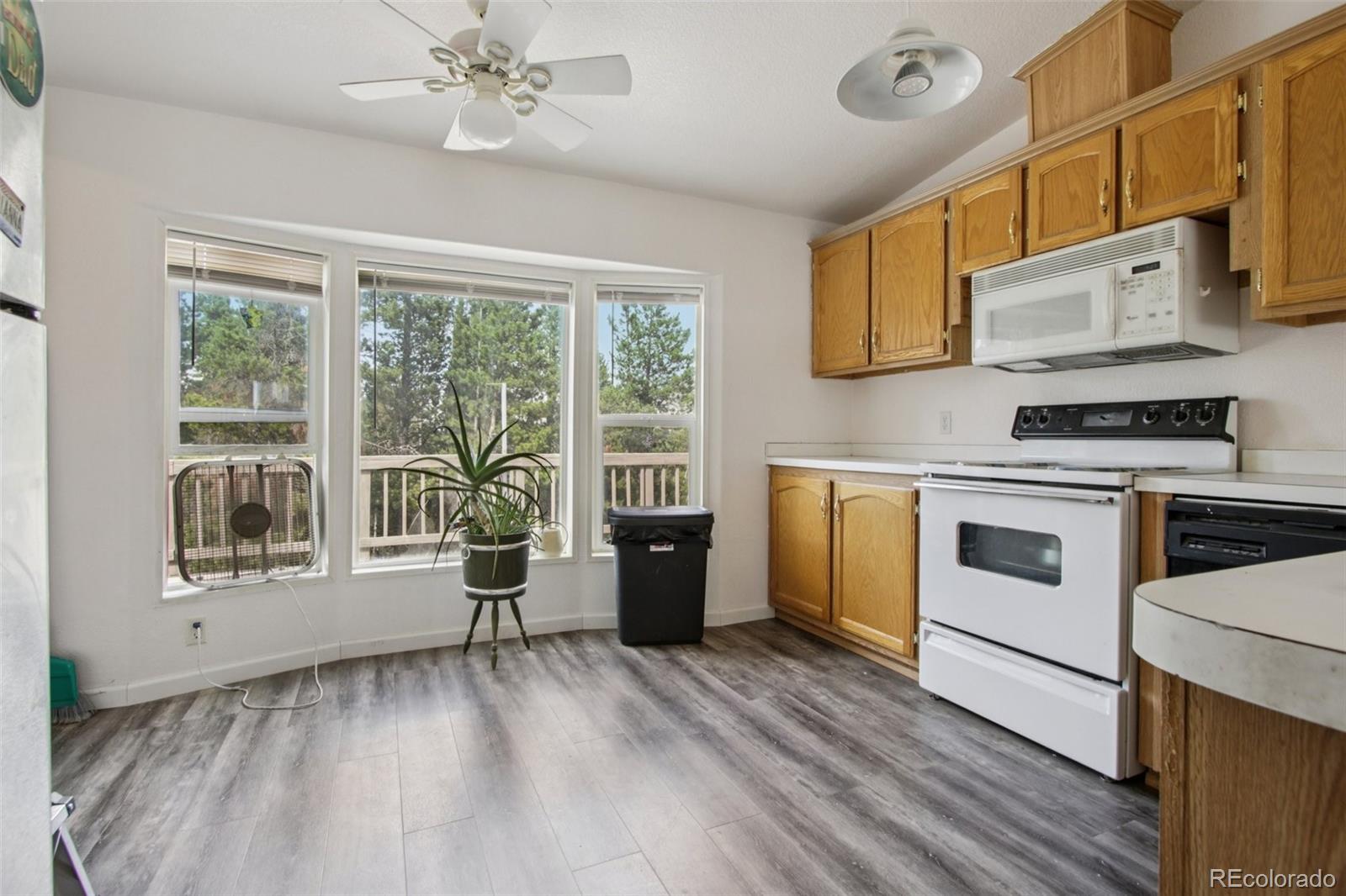 MLS Image #7 for 81  atlantis drive,black hawk, Colorado