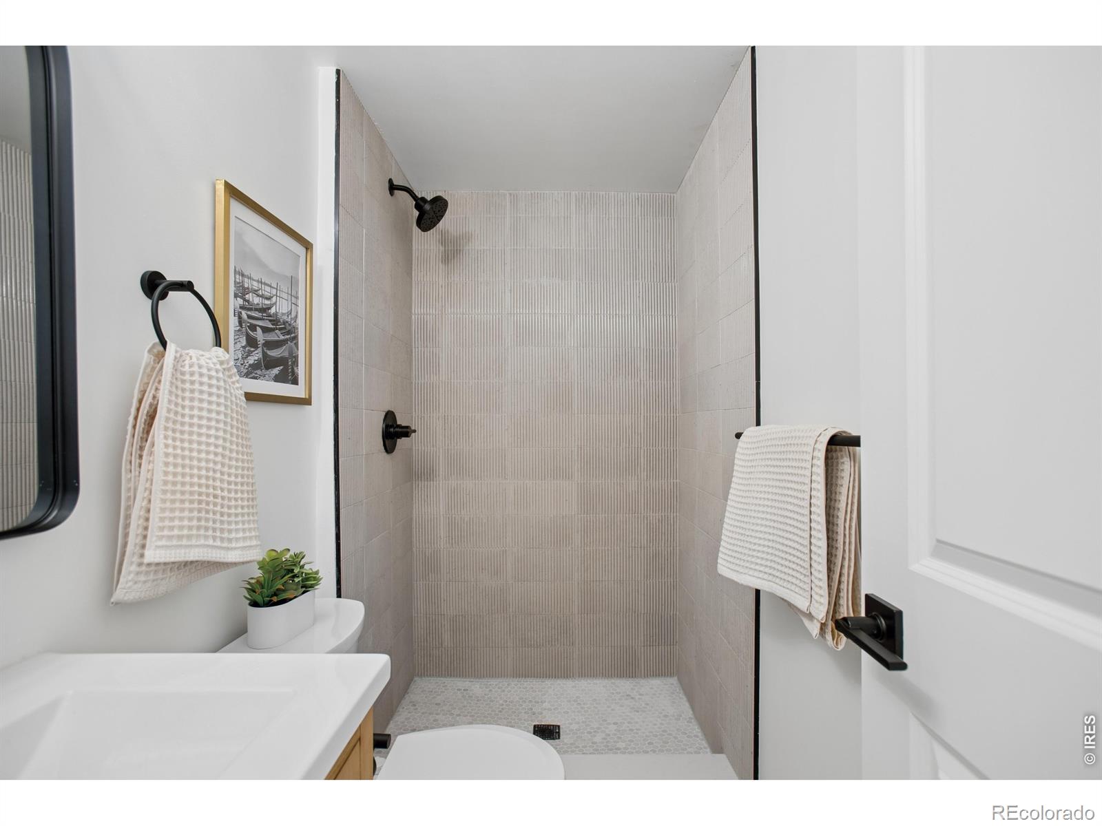MLS Image #11 for 12  baylor drive,longmont, Colorado