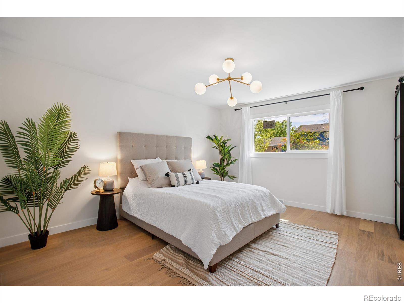 MLS Image #12 for 12  baylor drive,longmont, Colorado