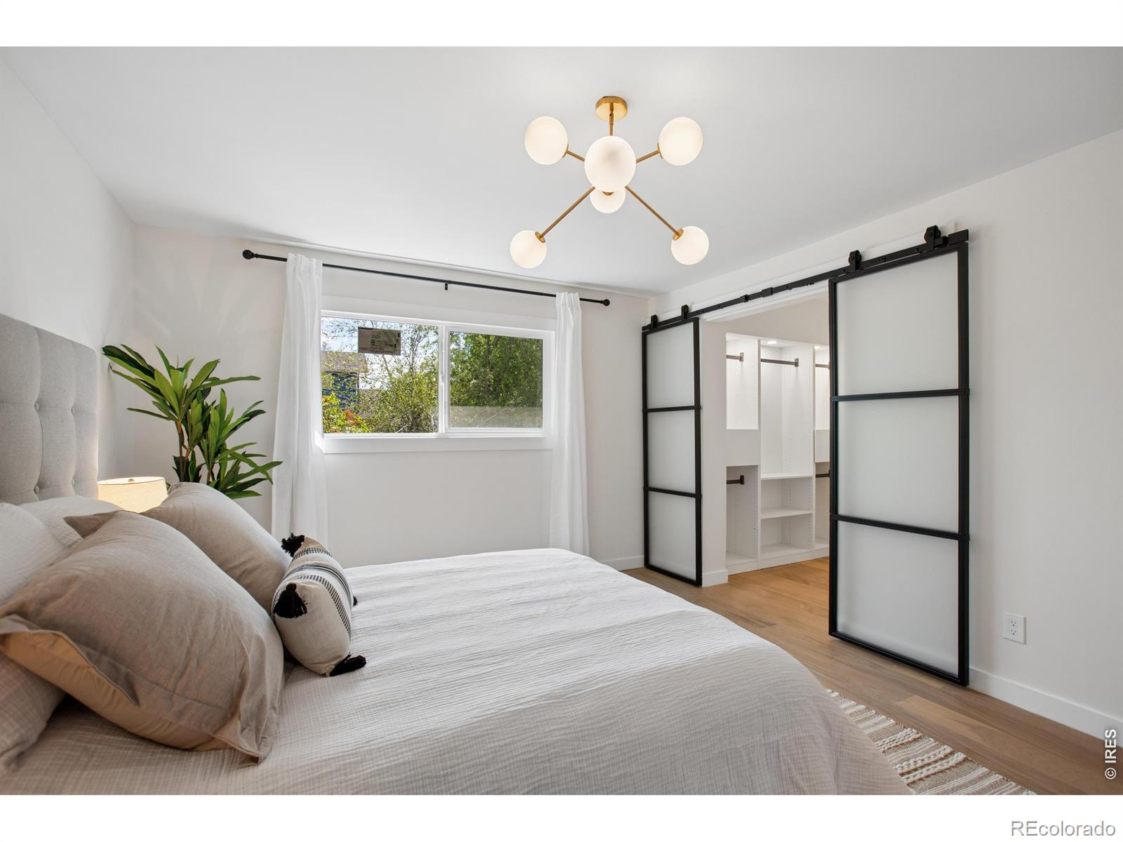 MLS Image #13 for 12  baylor drive,longmont, Colorado