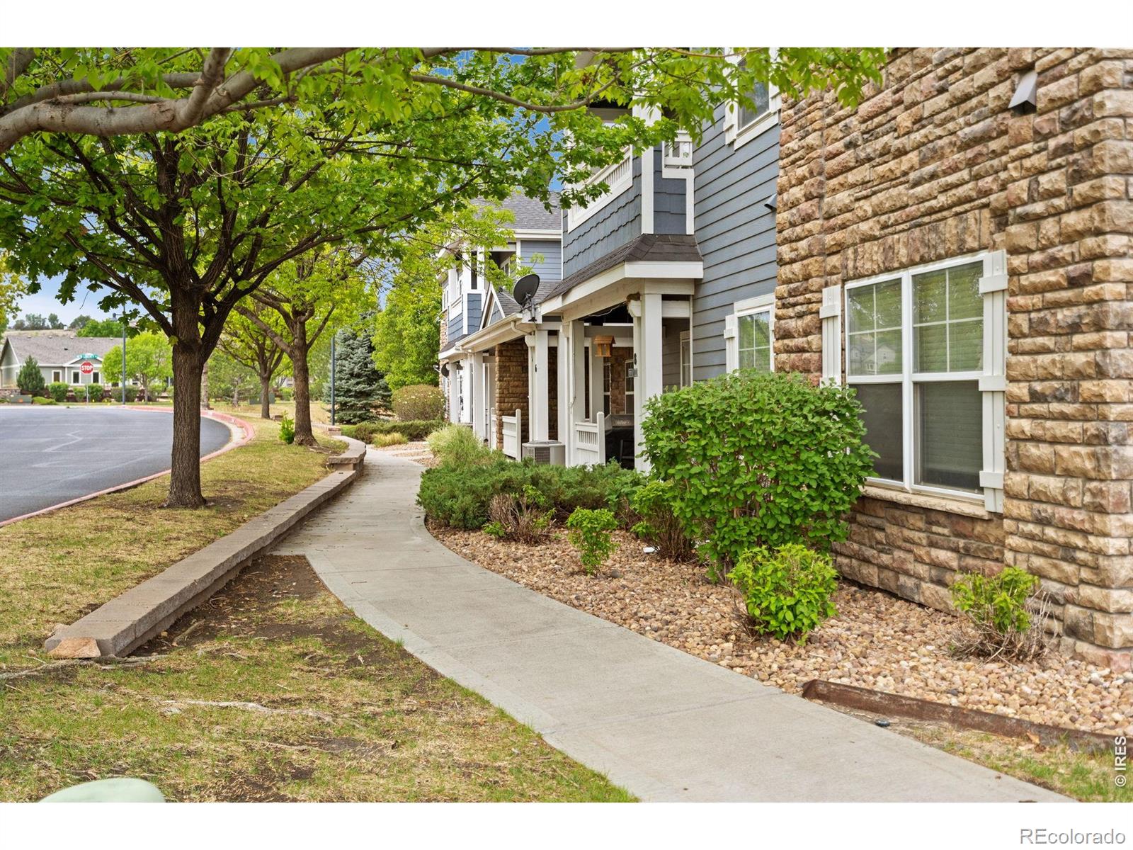 MLS Image #2 for 2178  cape hatteras drive,windsor, Colorado