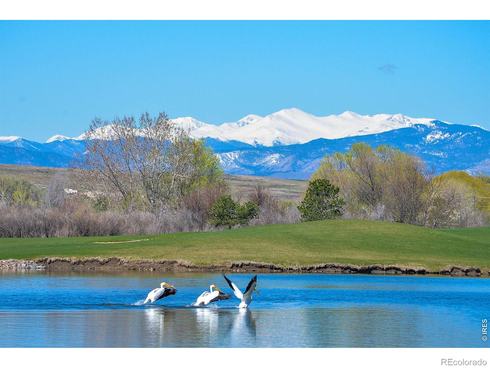 MLS Image #44 for 2178  cape hatteras drive,windsor, Colorado