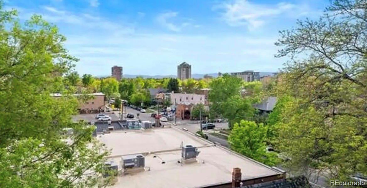 MLS Image #10 for 636 n washington street,denver, Colorado