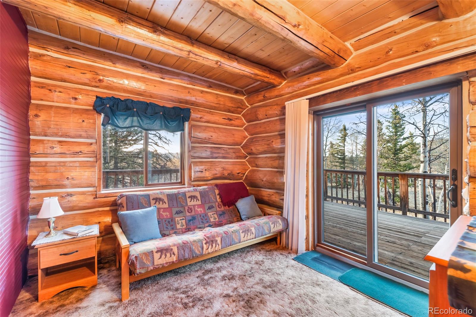 MLS Image #14 for 1106  wampum lane,como, Colorado