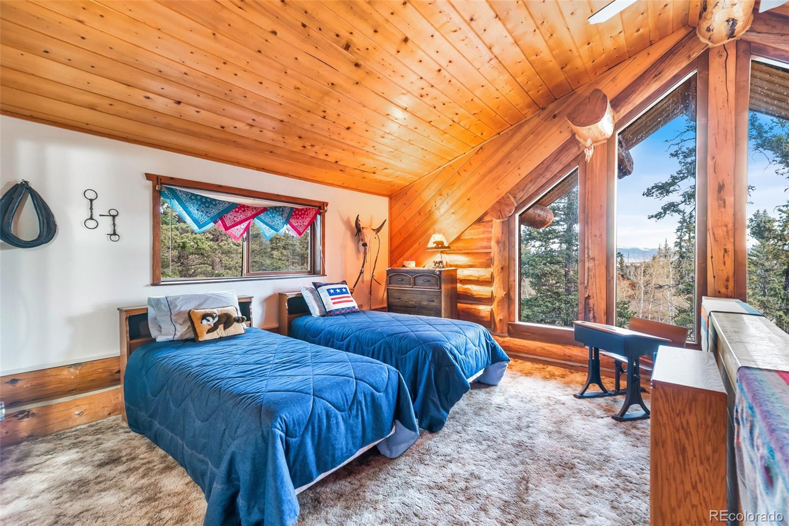 MLS Image #21 for 1106  wampum lane,como, Colorado