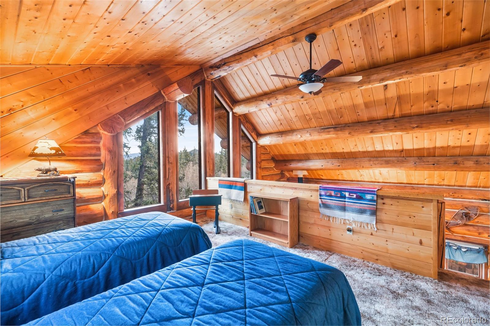 MLS Image #22 for 1106  wampum lane,como, Colorado
