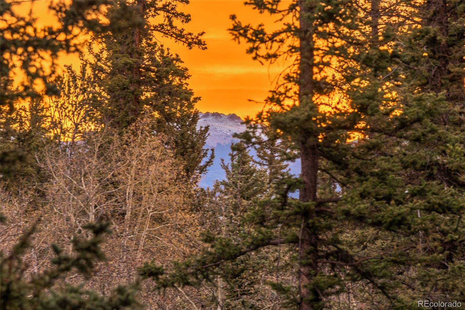 MLS Image #40 for 1106  wampum lane,como, Colorado
