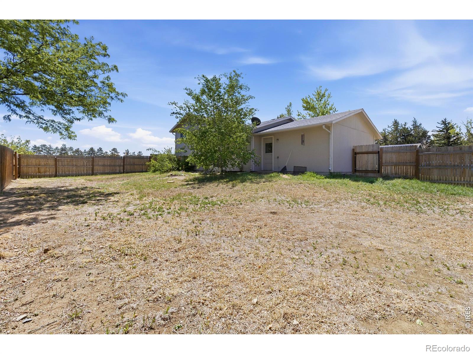MLS Image #16 for 500  leo court,fort collins, Colorado