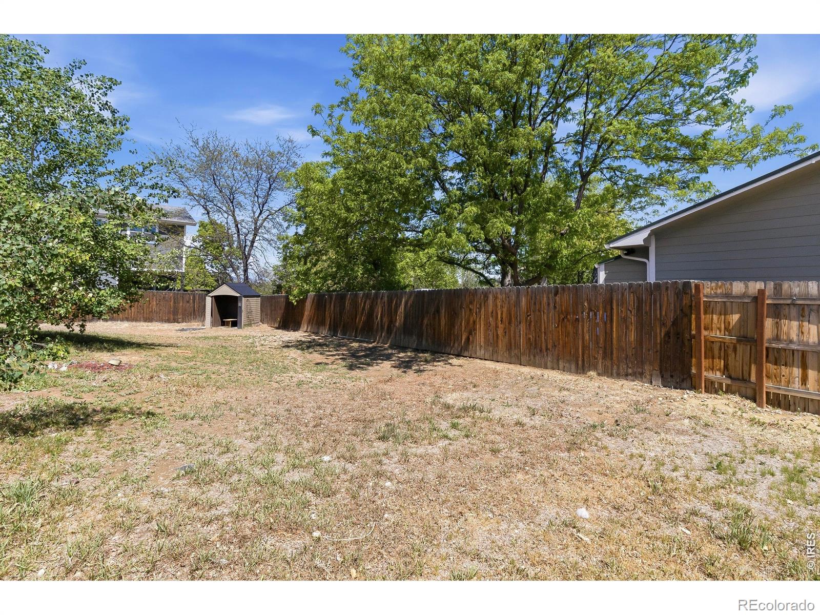 MLS Image #17 for 500  leo court,fort collins, Colorado