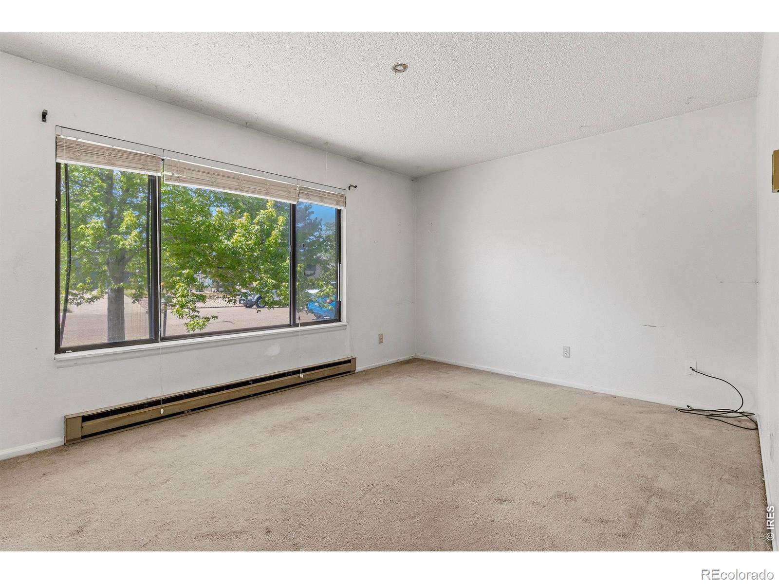MLS Image #4 for 500  leo court,fort collins, Colorado