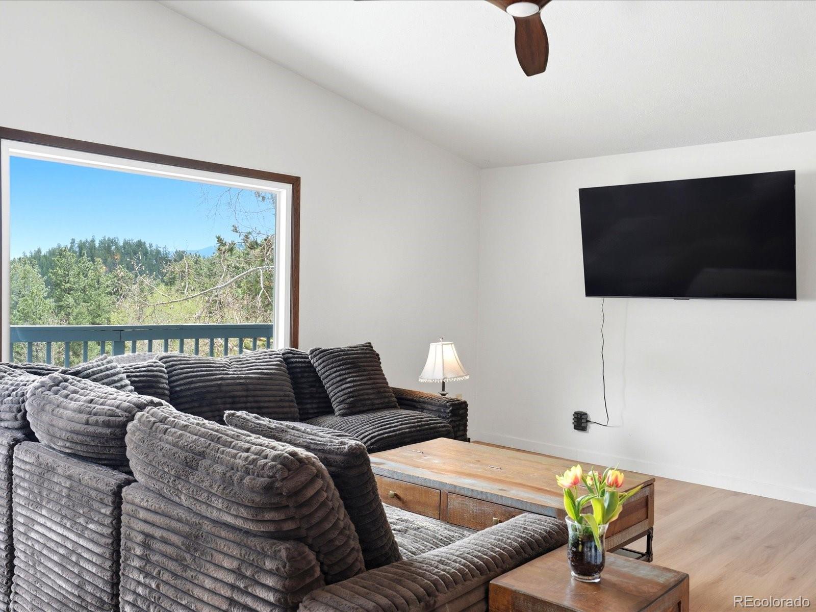 MLS Image #10 for 204  bob cat trail,bailey, Colorado