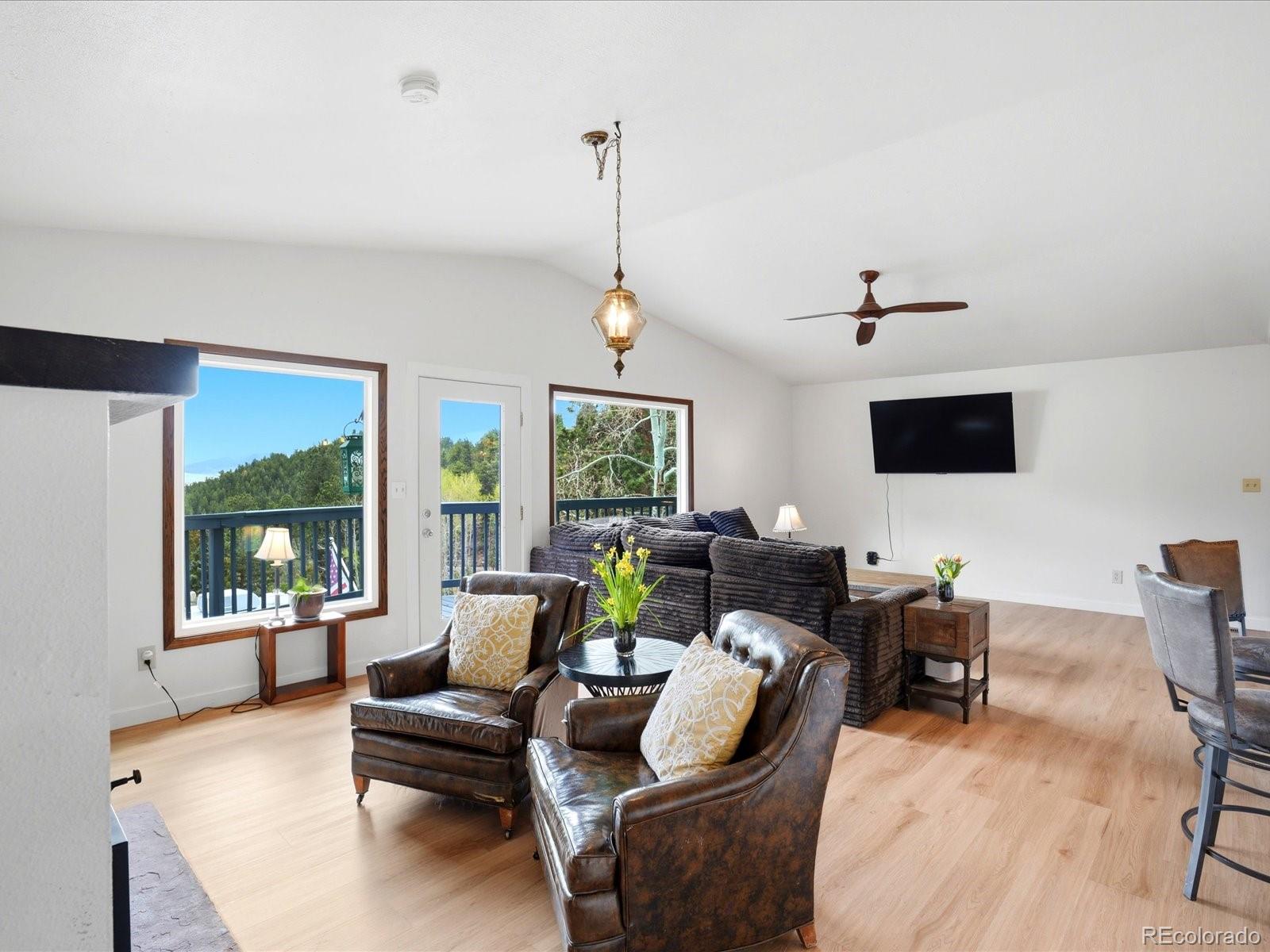 MLS Image #11 for 204  bob cat trail,bailey, Colorado