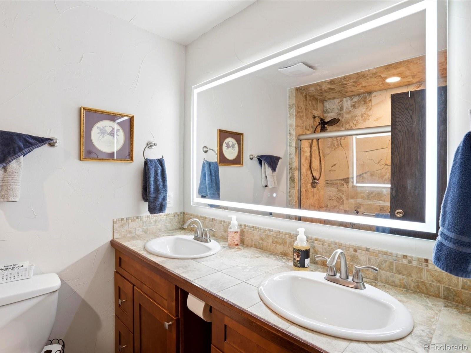 MLS Image #15 for 204  bob cat trail,bailey, Colorado
