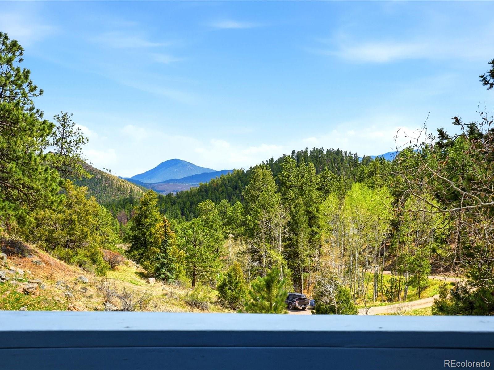MLS Image #31 for 204  bob cat trail,bailey, Colorado
