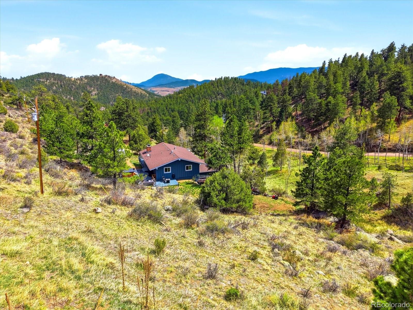 MLS Image #38 for 204  bob cat trail,bailey, Colorado