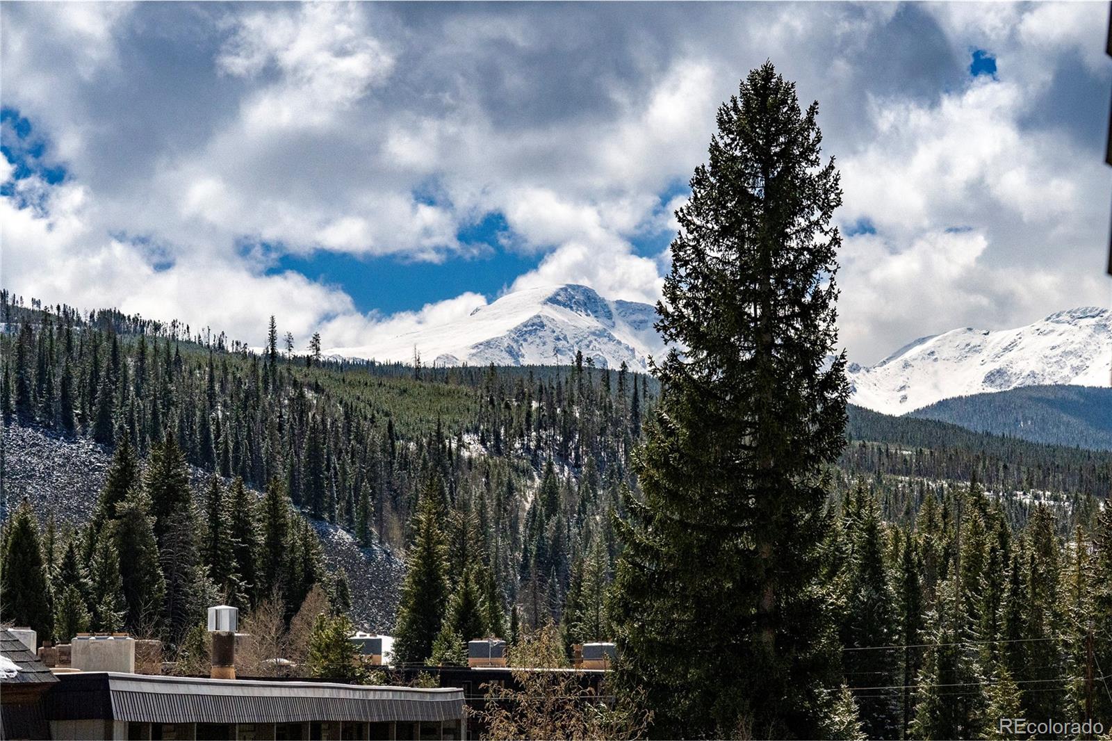 MLS Image #17 for 400  baker drive,winter park, Colorado