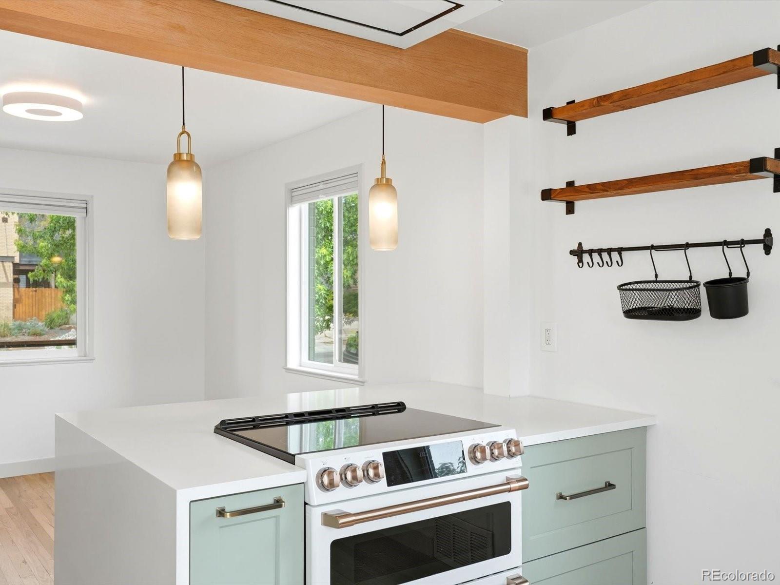 MLS Image #8 for 4630  decatur street,denver, Colorado