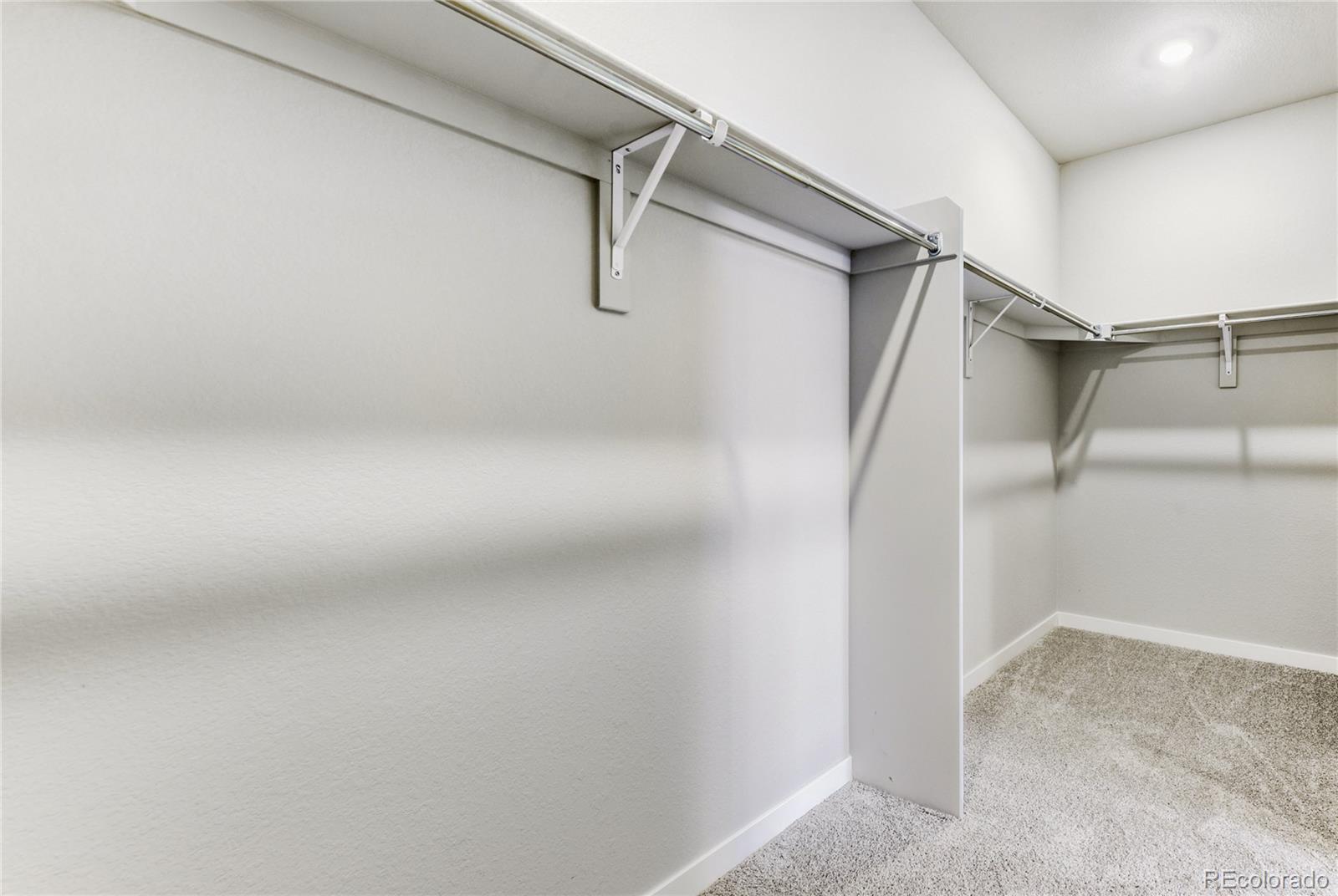 MLS Image #14 for 13349  finnhorse street,parker, Colorado