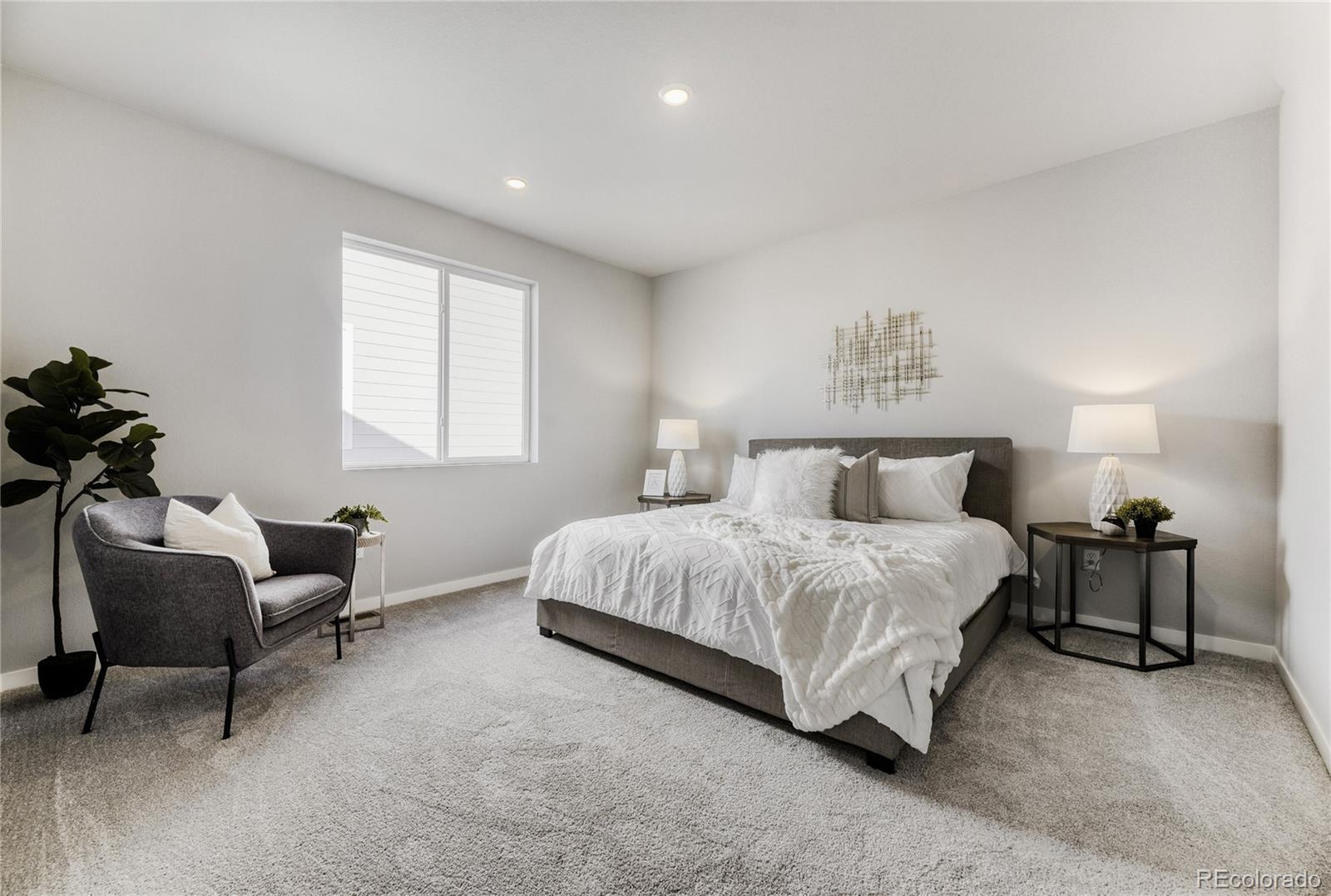 MLS Image #9 for 13349  finnhorse street,parker, Colorado