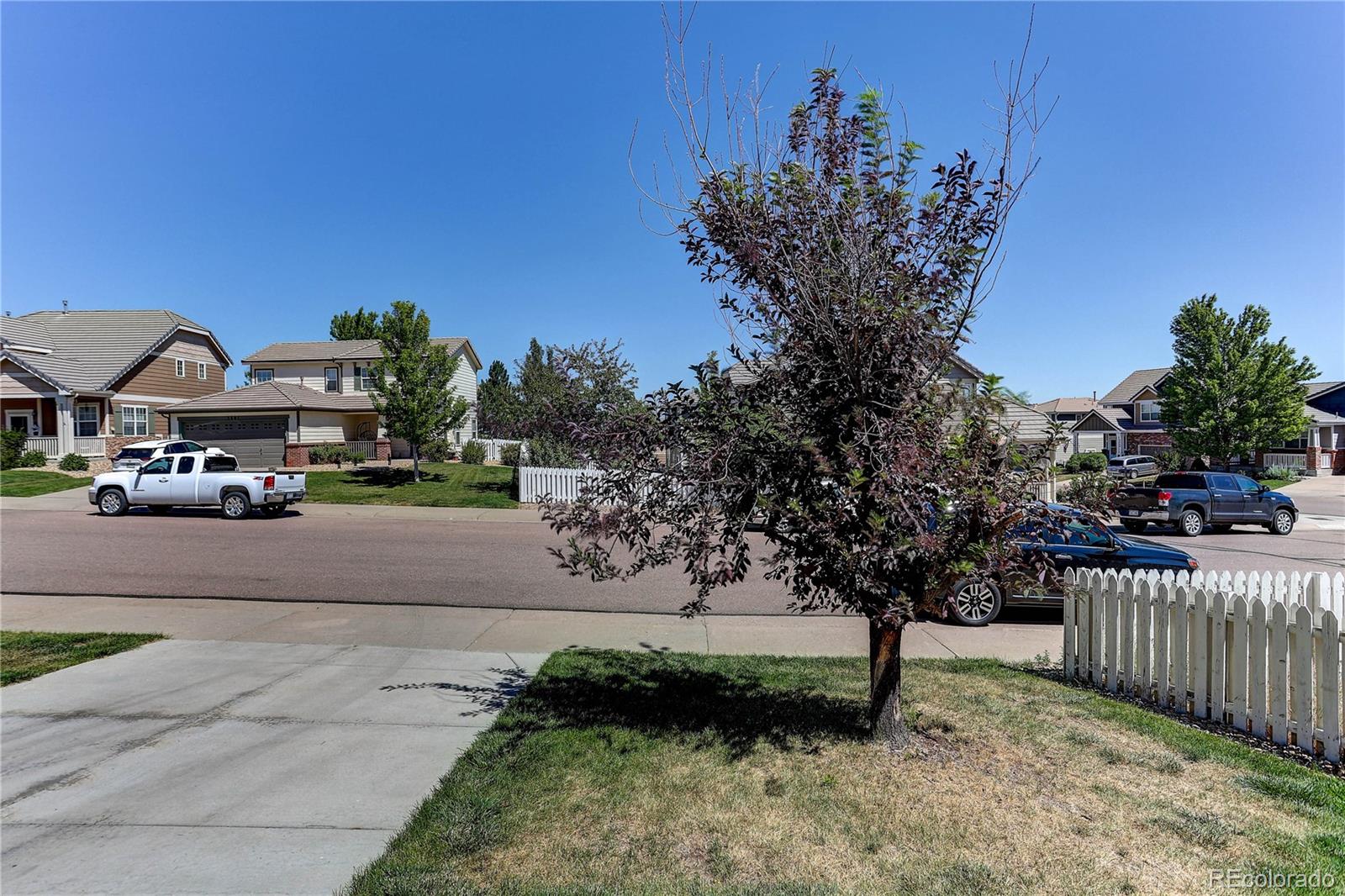 MLS Image #37 for 3798  majestic trail,castle rock, Colorado