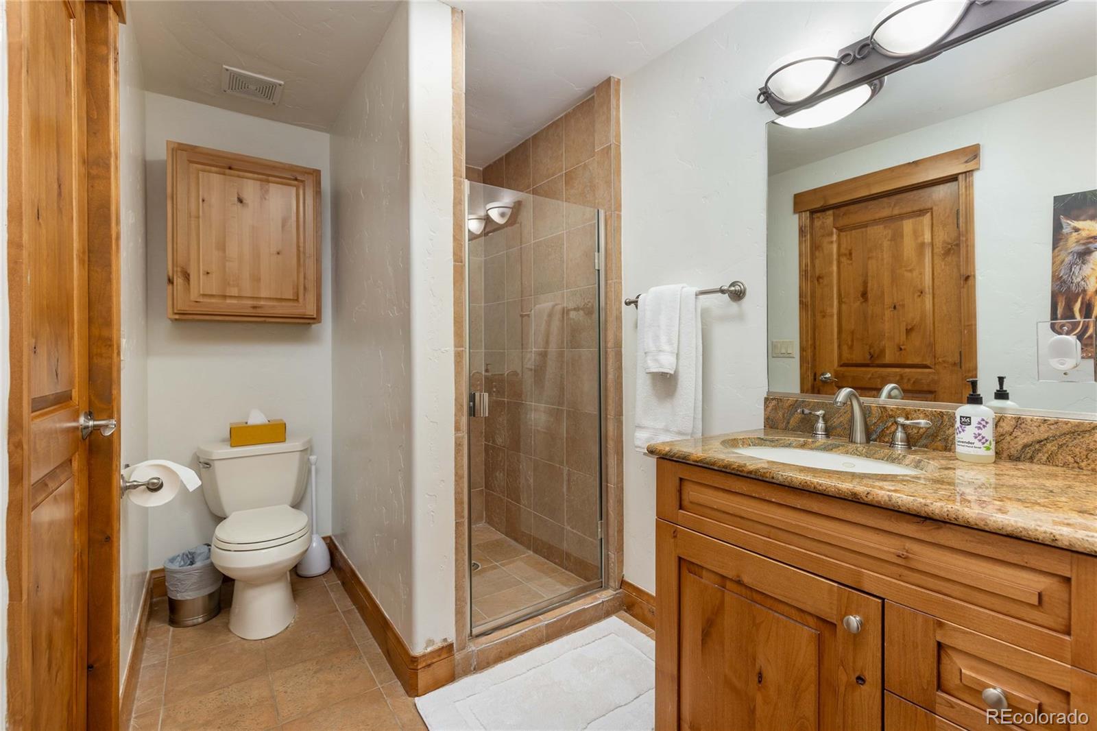 MLS Image #44 for 310  whispering pines,breckenridge, Colorado