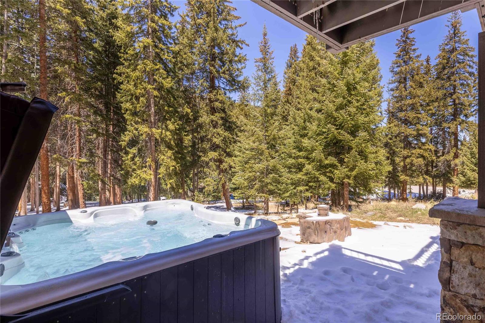 MLS Image #45 for 310  whispering pines,breckenridge, Colorado