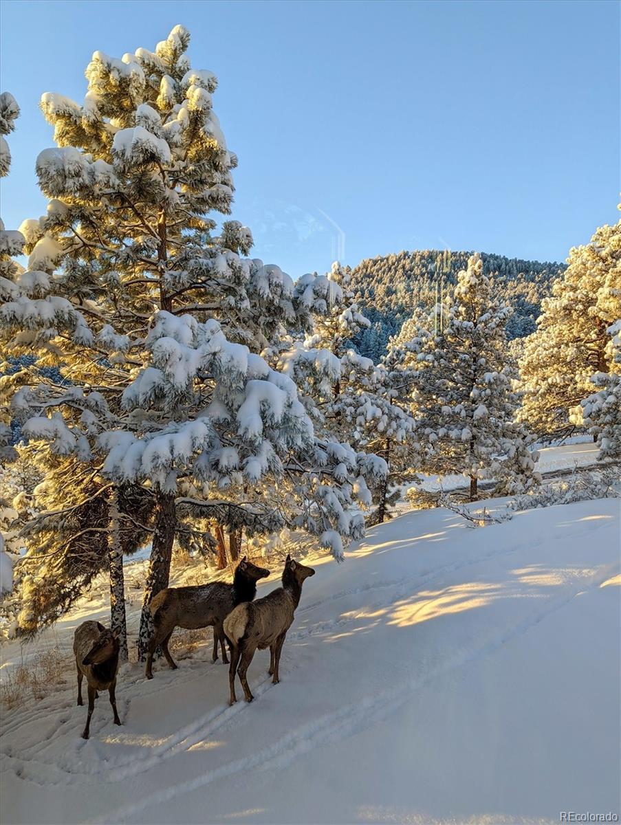 MLS Image #44 for 23004  whispering woods ,golden, Colorado