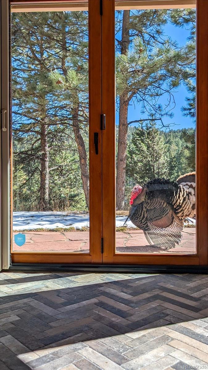 MLS Image #46 for 23004  whispering woods ,golden, Colorado