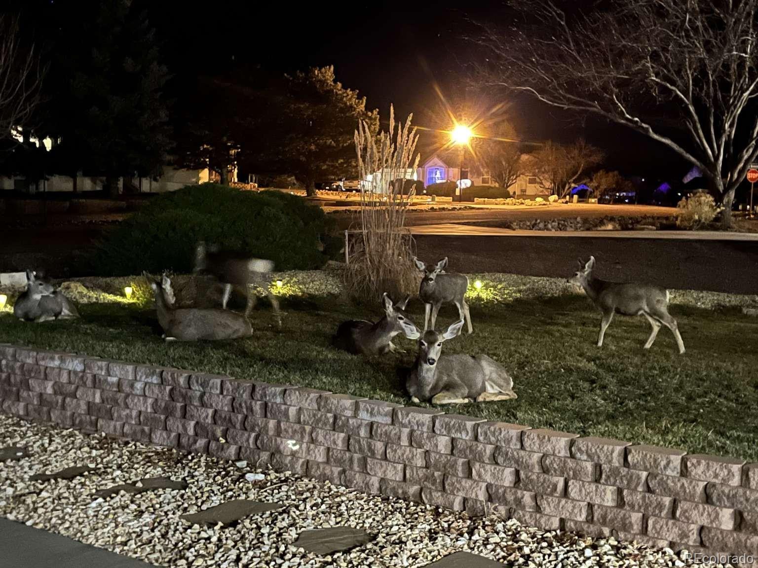 MLS Image #3 for 17  bear cub court,canon city, Colorado