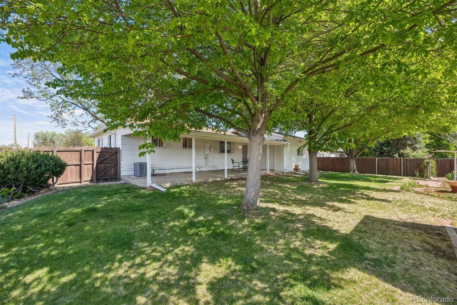 MLS Image #19 for 7591  zenobia street,westminster, Colorado