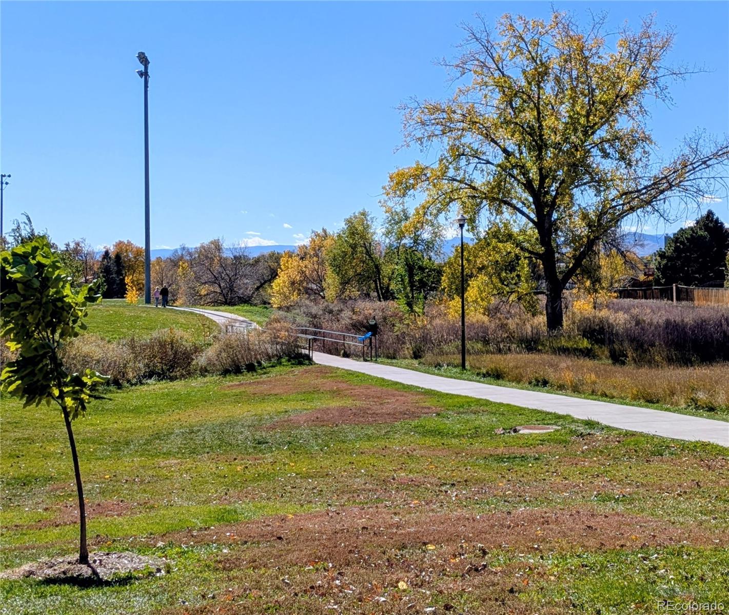 MLS Image #25 for 7591  zenobia street,westminster, Colorado