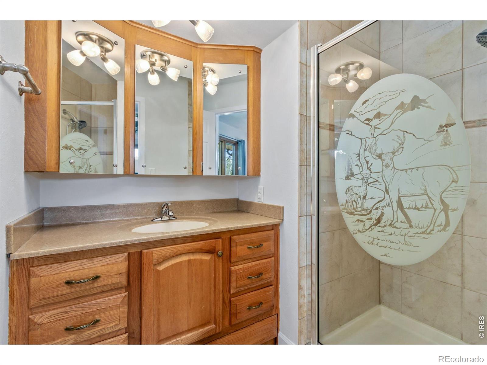MLS Image #11 for 2104  leila drive,loveland, Colorado