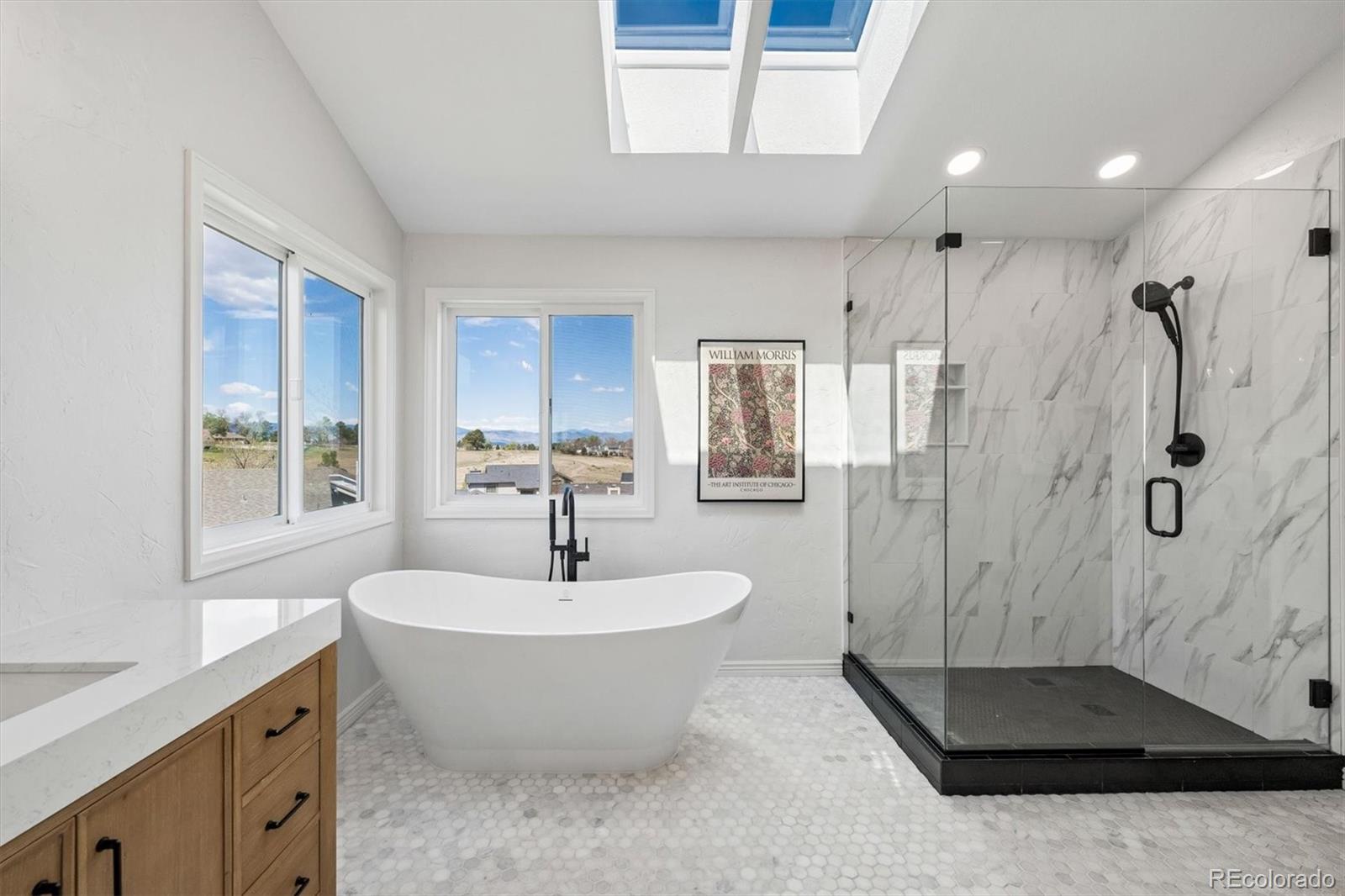 MLS Image #28 for 1971  ashleigh court,highlands ranch, Colorado