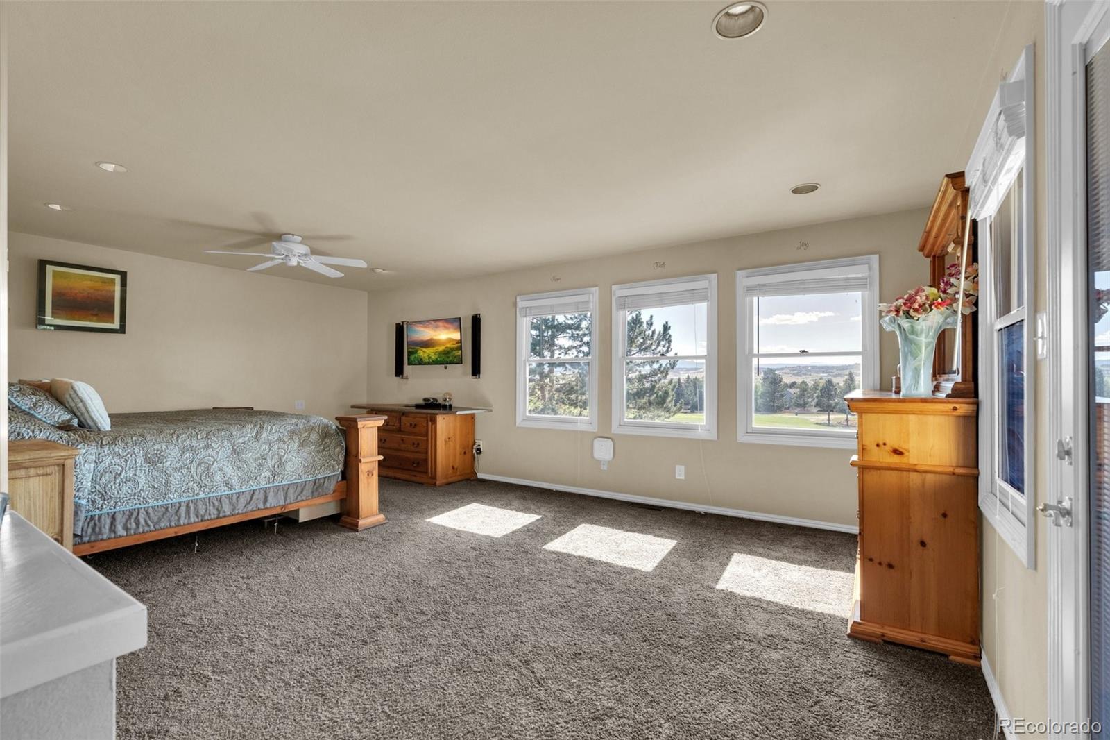 MLS Image #10 for 157  cheney place,castle rock, Colorado